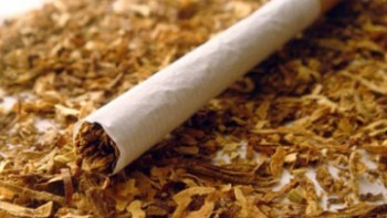 История мирового табачного производства